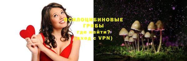 apvp Аркадак