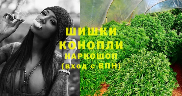 apvp Аркадак