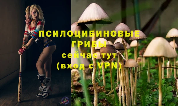 мескалин Арсеньев