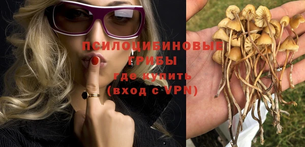 apvp Аркадак