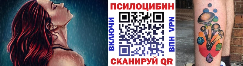 что такое   Суджа  Галлюциногенные грибы прущие грибы 